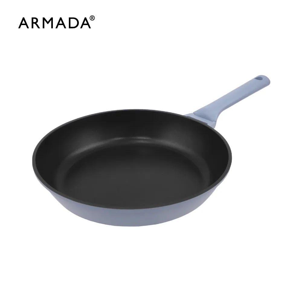 【Armada】鑄鐵雙耳烤盤 28cm 歷史價格詳細信息