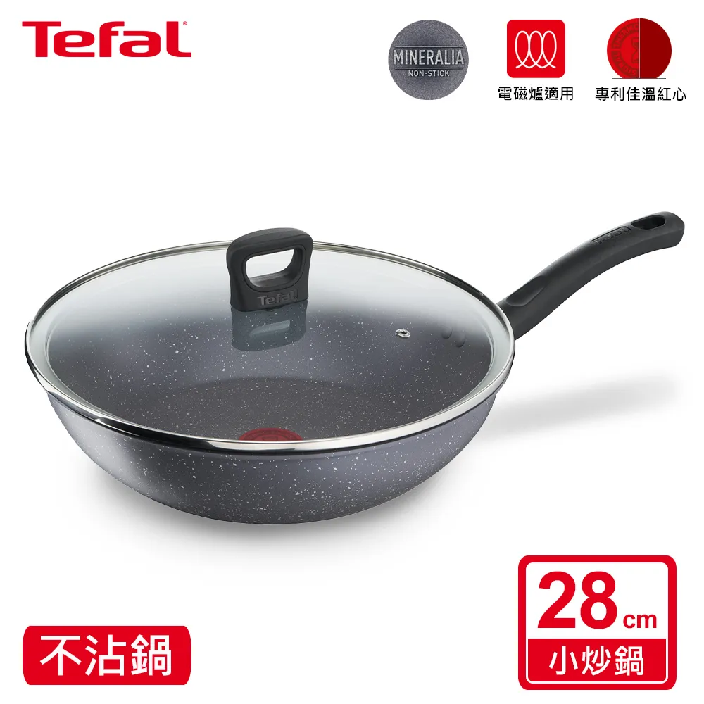 《法國特福Tefal》礦石灰不沾深平鍋-28cm【愛買】 歷史價格詳細信息