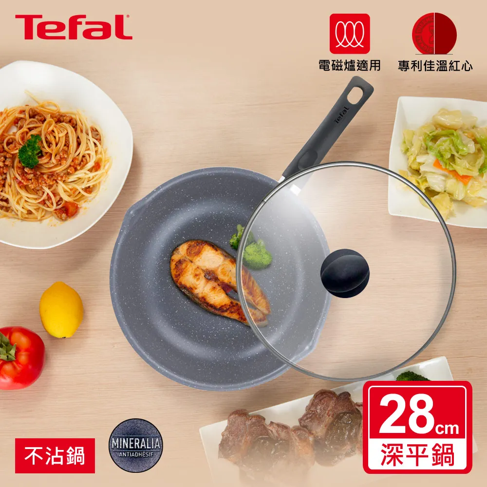 《法國特福Tefal》礦石灰不沾深平鍋-28cm【愛買】 歷史價格詳細信息