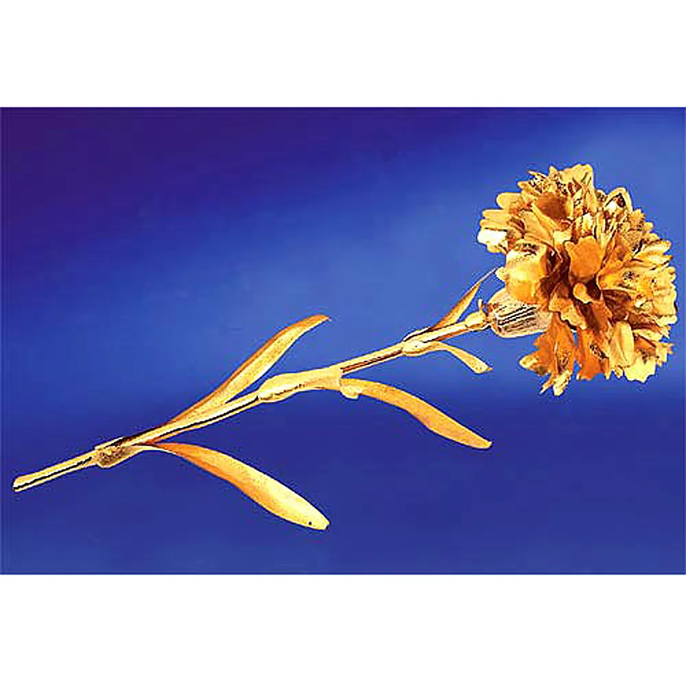 純金 玫瑰 胸針禮物 歷史價格詳細信息