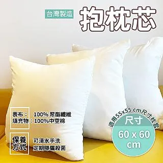 【Hilotto】抱枕枕芯 50x50 適用枕套 45x45cm 二入裝(抱枕芯 枕芯 枕心) 歷史價格詳細信息