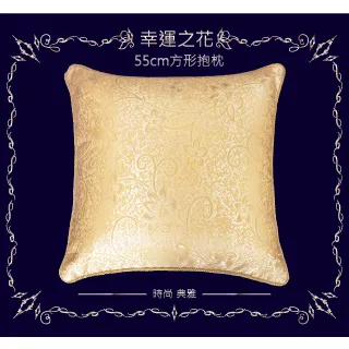 【LASSLEY】方形抱枕-點點 50cm(台灣製造)雙色可選 歷史價格詳細信息