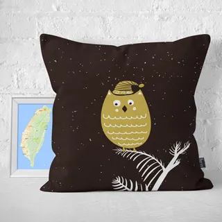 【IHERMI】貓咪插畫B 抱枕 現貨 台灣製 抱枕套 45cm 厚實帆布 耐水洗不退色 歷史價格詳細信息