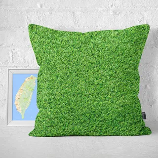 【IHERMI】茂密草皮A 抱枕 現貨 台灣製 抱枕套 45cm 厚實帆布 耐水洗不退色 歷史價格詳細信息