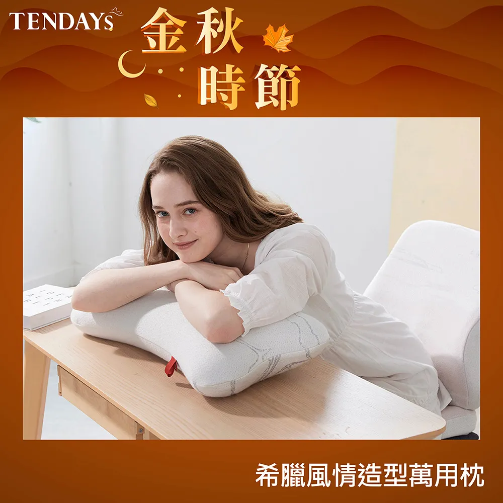 TENDAYS 希臘風情紓壓造型萬用枕(抱枕 靠墊) 歷史價格詳細信息