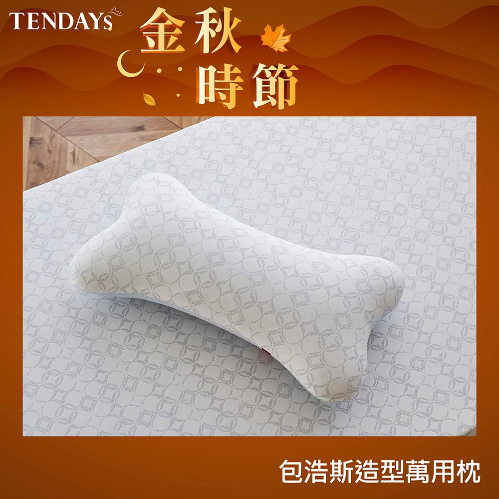 【TENDAYS】包浩斯紓壓造型萬用枕(抱枕 靠墊) 歷史價格詳細信息