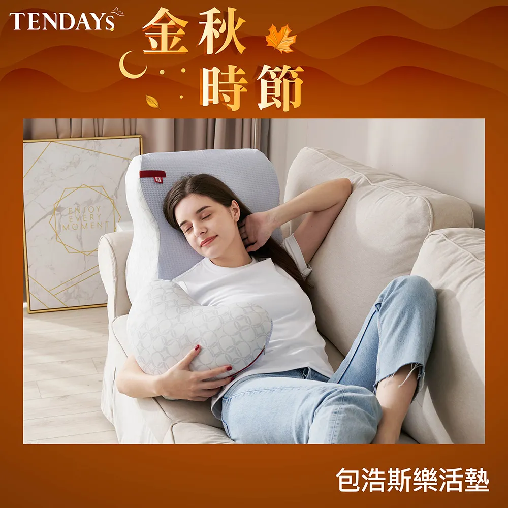[TENDAYS]樂齡紓壓床墊3尺標準單人(5cm厚 可水洗記憶床) 歷史價格詳細信息