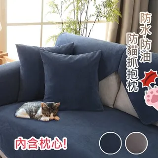 【巴芙洛】防疫清潔絲圈刮泥門口地墊/踏墊/地毯(45*75CM加厚高彈絲圈門口墊) 歷史價格詳細信息