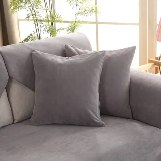 【巴芙洛】防疫清潔絲圈刮泥門口地墊/踏墊/地毯(45*75CM加厚高彈絲圈門口墊) 歷史價格詳細信息