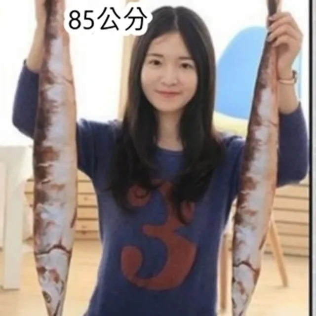 子安的店【105122106】小款 漫踪艦隊collection鹹魚抱枕動漫展毛絨玩具周邊(50公分) 歷史價格詳細信息