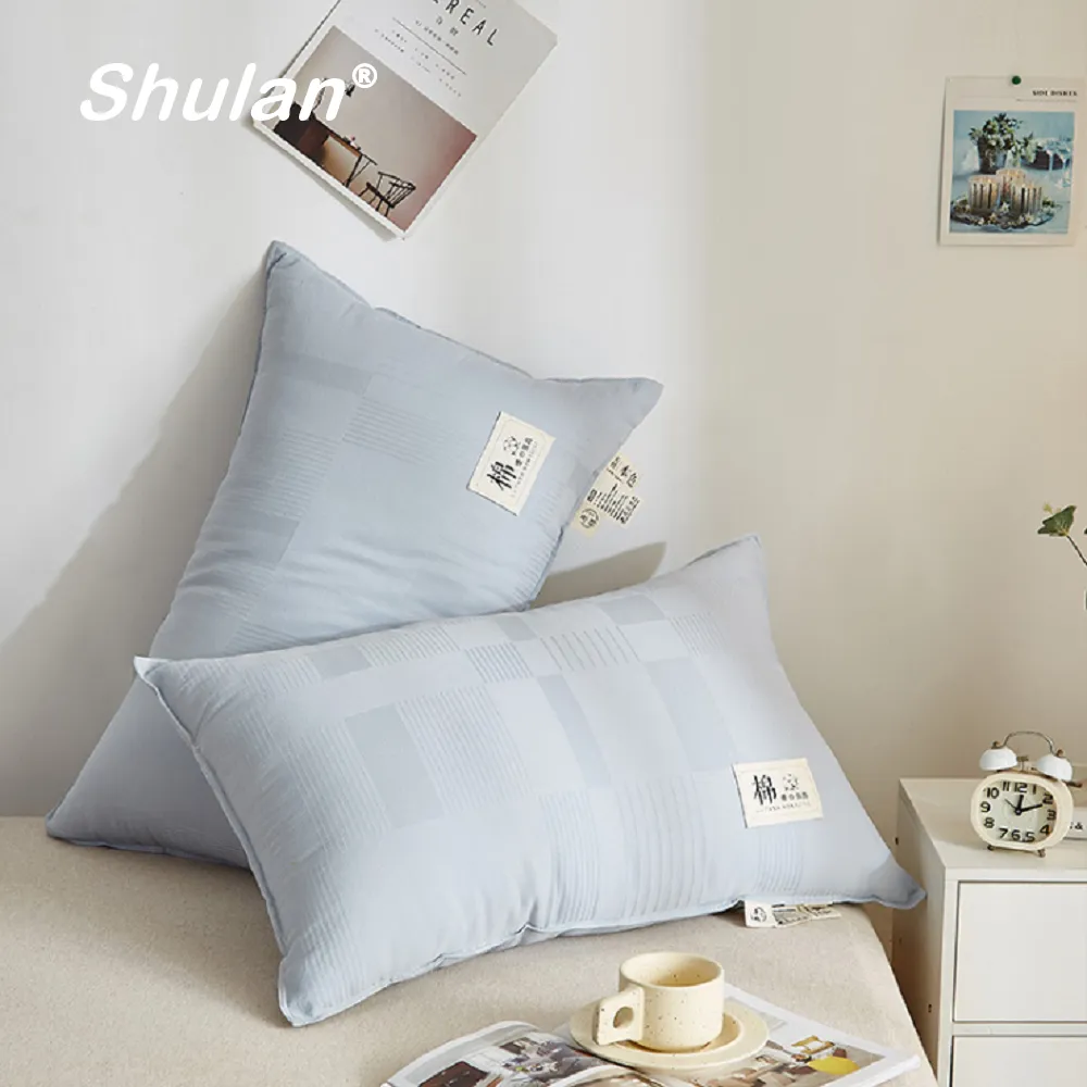 樹懶桑皮快一點/琪雅拉．卡米納提【城邦讀書花園】 歷史價格詳細信息