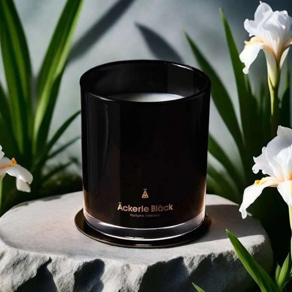 黑珍珠 香氛膠囊 車內芳香 衣櫃 廁所 哈家人 歷史價格詳細信息