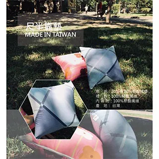 《MIKO》台灣製*素色抱抱枕枕頭套*無印/極簡/給我抱抱/枕頭/抱枕/長枕 歷史價格詳細信息