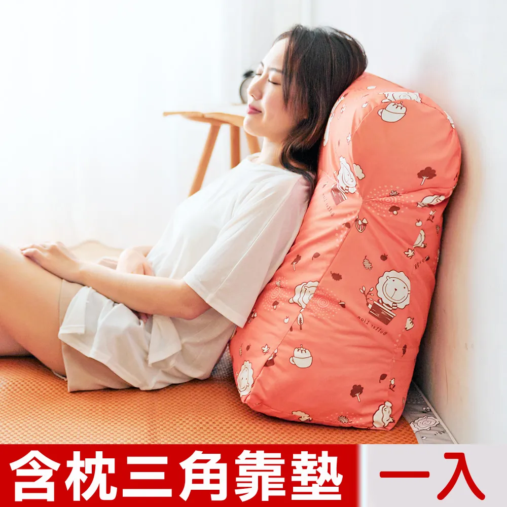 【奶油獅】台灣製造 加厚精緻貼布鏽布套可拆三角靠墊/美腿枕 歷史價格詳細信息