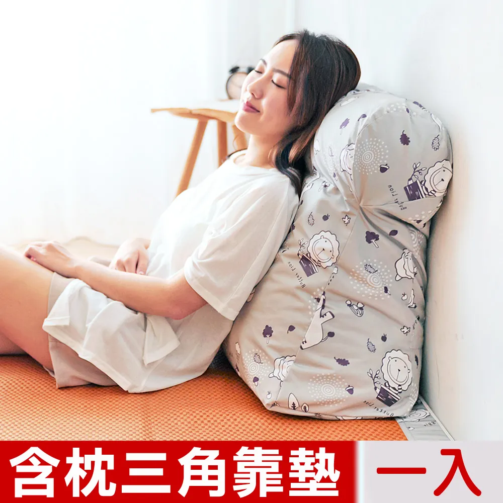 【奶油獅】台灣製造 加厚精緻貼布鏽布套可拆三角靠墊/美腿枕 歷史價格詳細信息