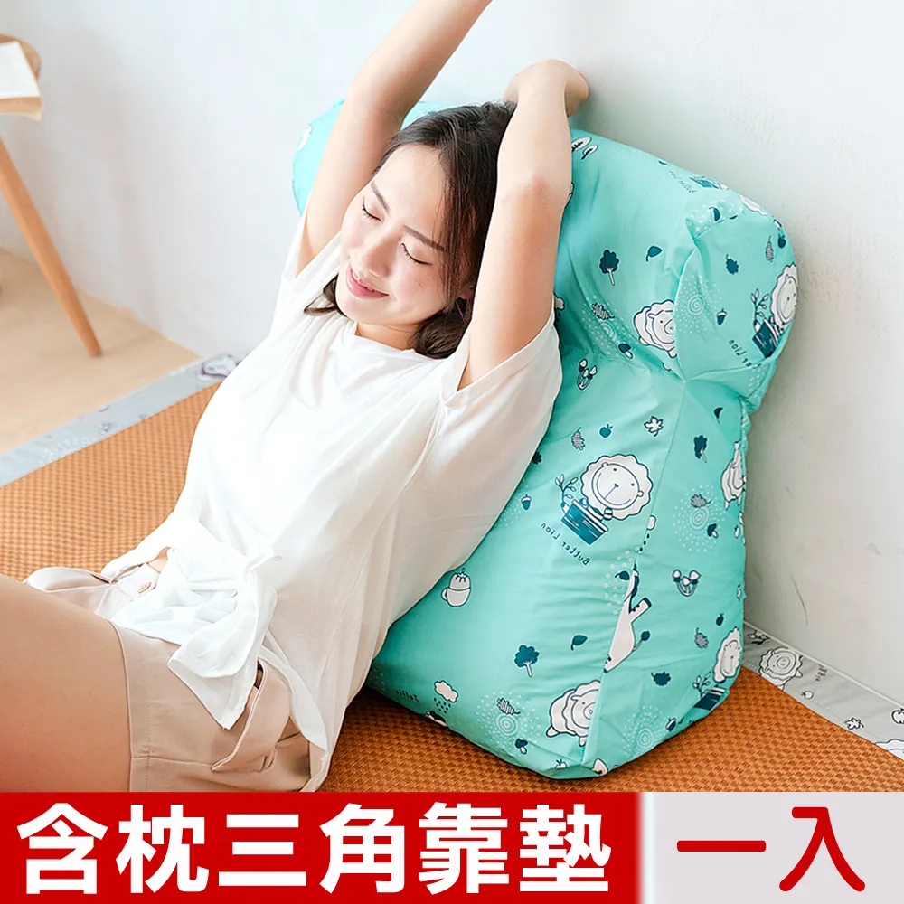 【奶油獅】台灣製造 加厚精緻貼布鏽布套可拆三角靠墊/美腿枕 歷史價格詳細信息