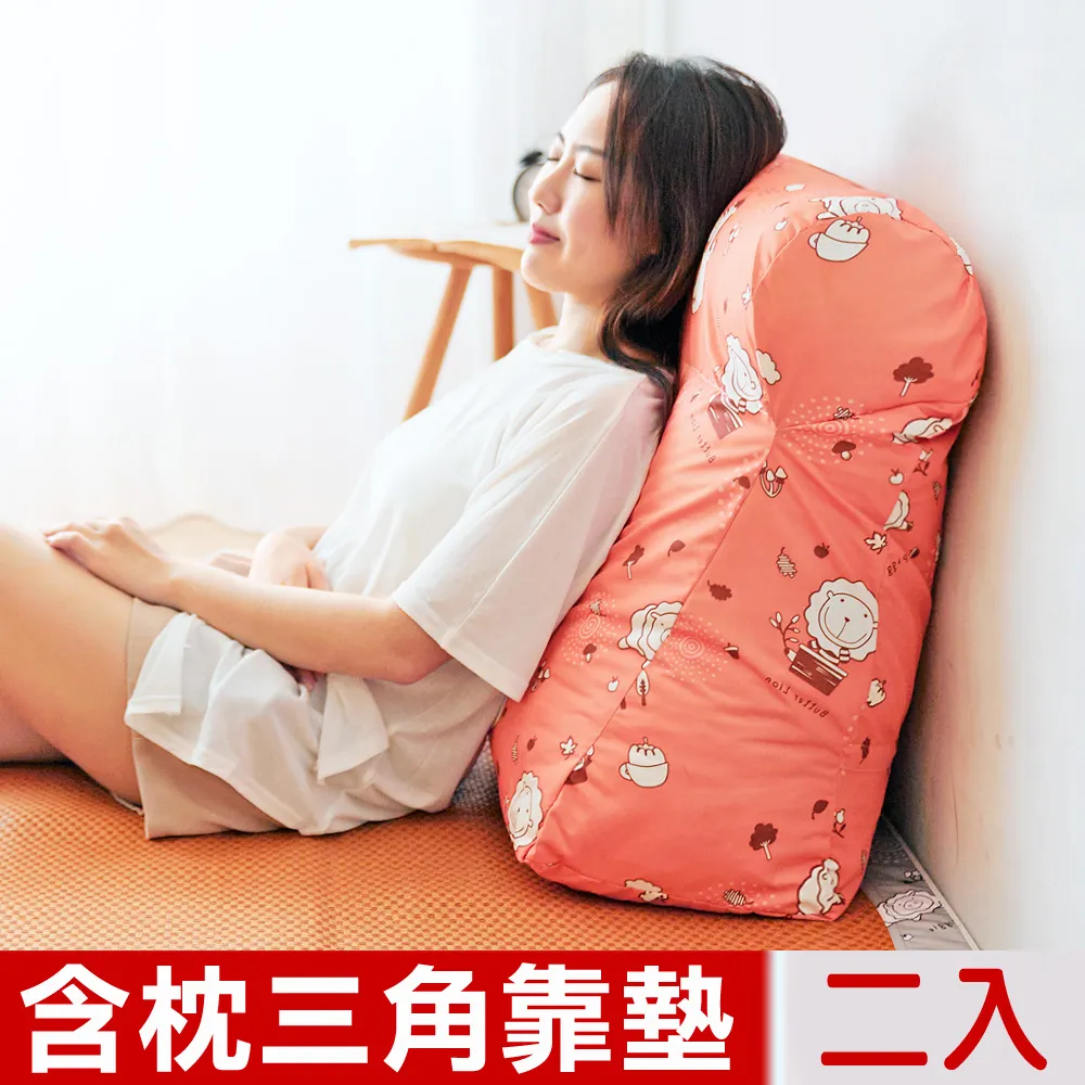 【奶油獅】台灣製造 加厚精緻貼布鏽布套可拆三角靠墊/美腿枕 歷史價格詳細信息