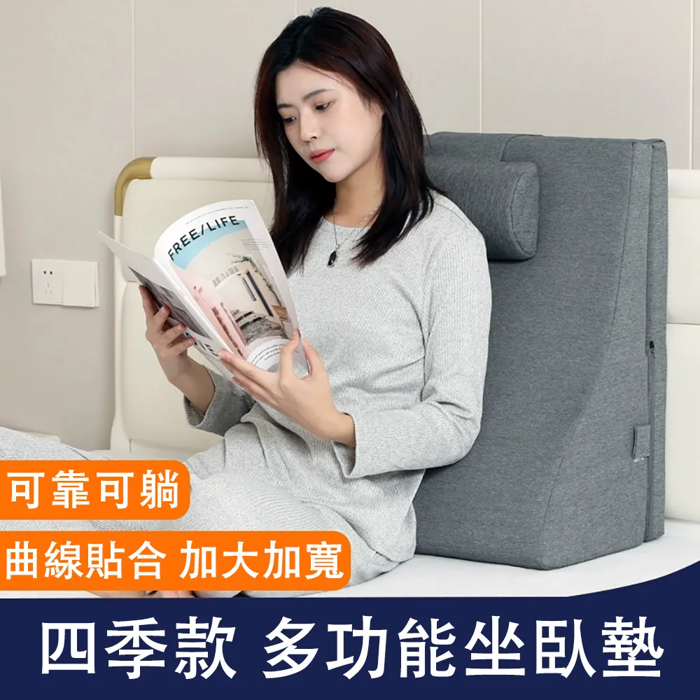 逸康 靠背三角枕 可調節加長靠墊組 霧霾藍 涼席 歷史價格詳細信息