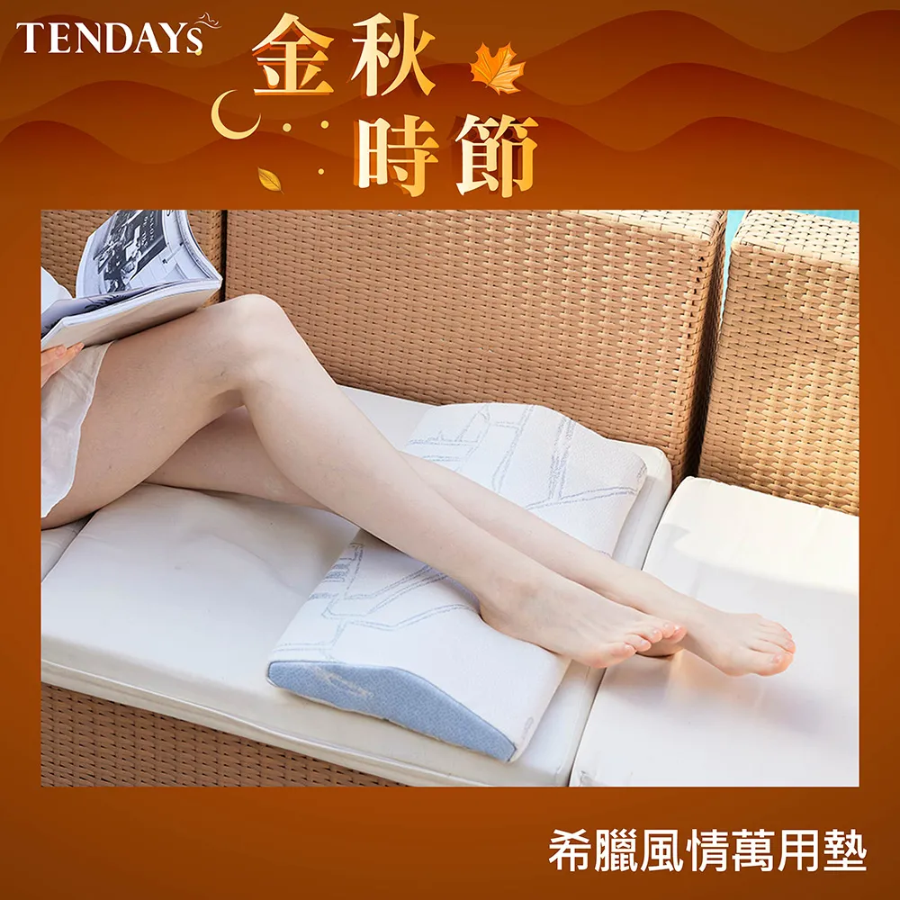 [TEDNAYS] 萬用墊(兩色可選) 歷史價格詳細信息