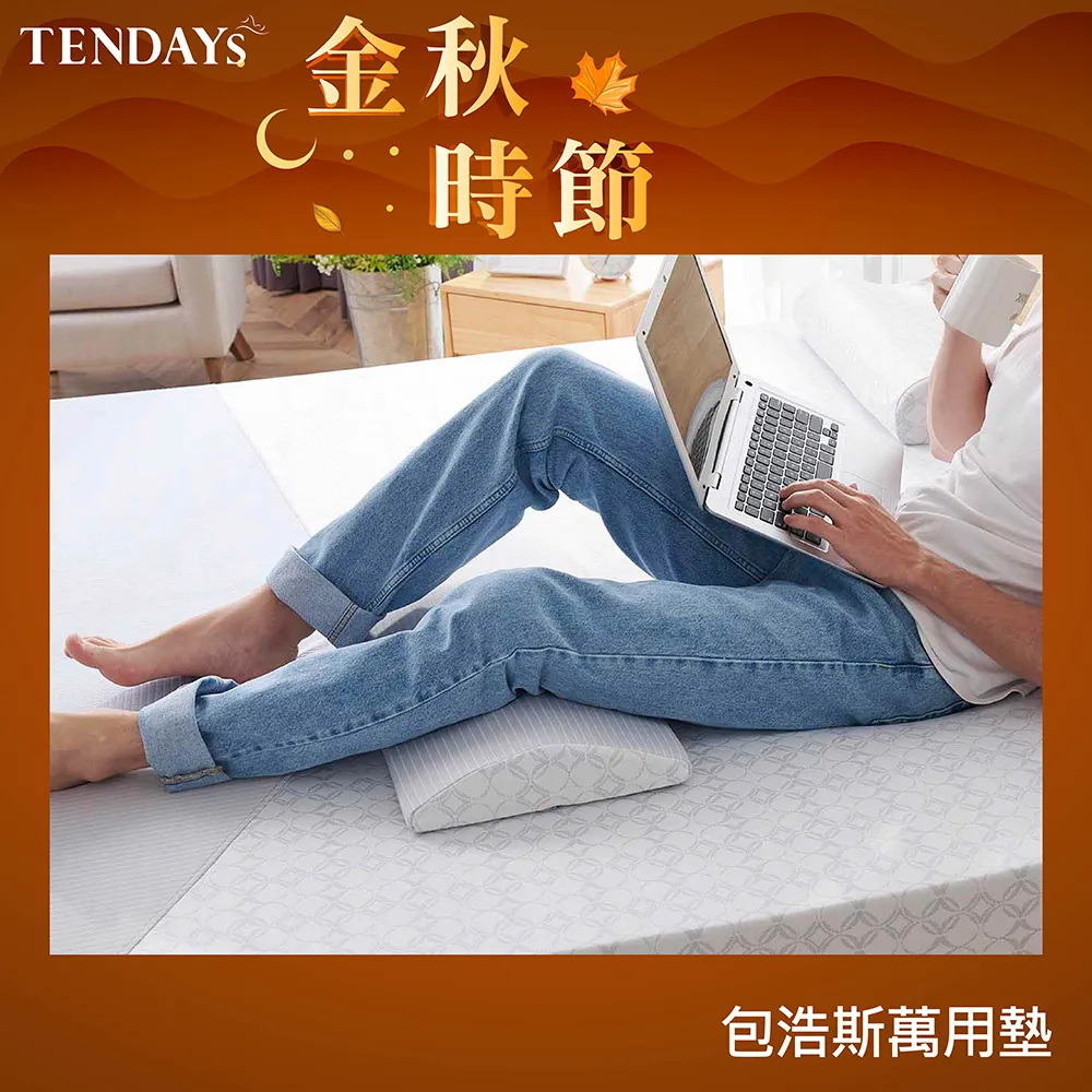 【TENDAYS】包浩斯紓壓萬用墊(靠墊 腰墊 膝下墊) 歷史價格詳細信息