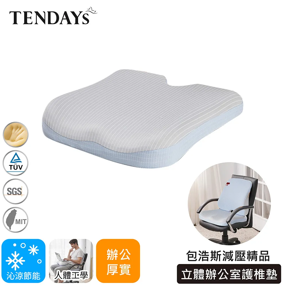 【TENDAYS】包浩斯立體辦公室護椎墊 歷史價格詳細信息