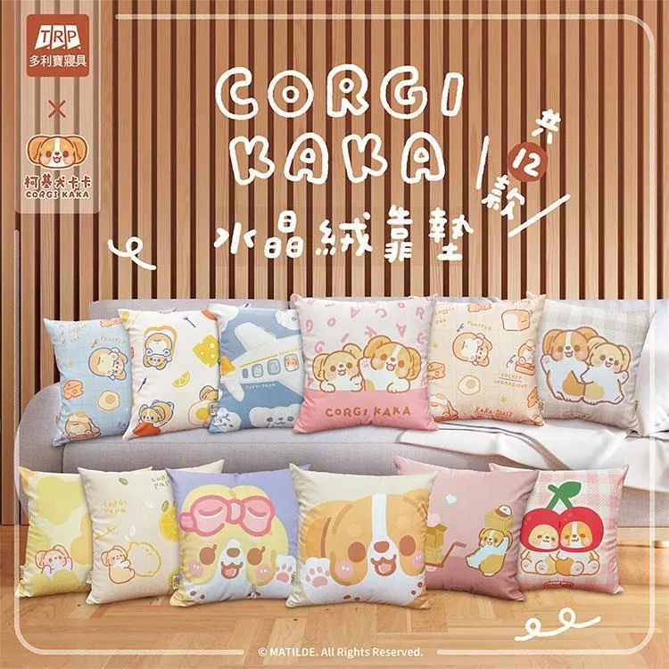 《靠基金狠賺3千萬》稚軒 夏韻芬 無劃記 06Y 歷史價格詳細信息