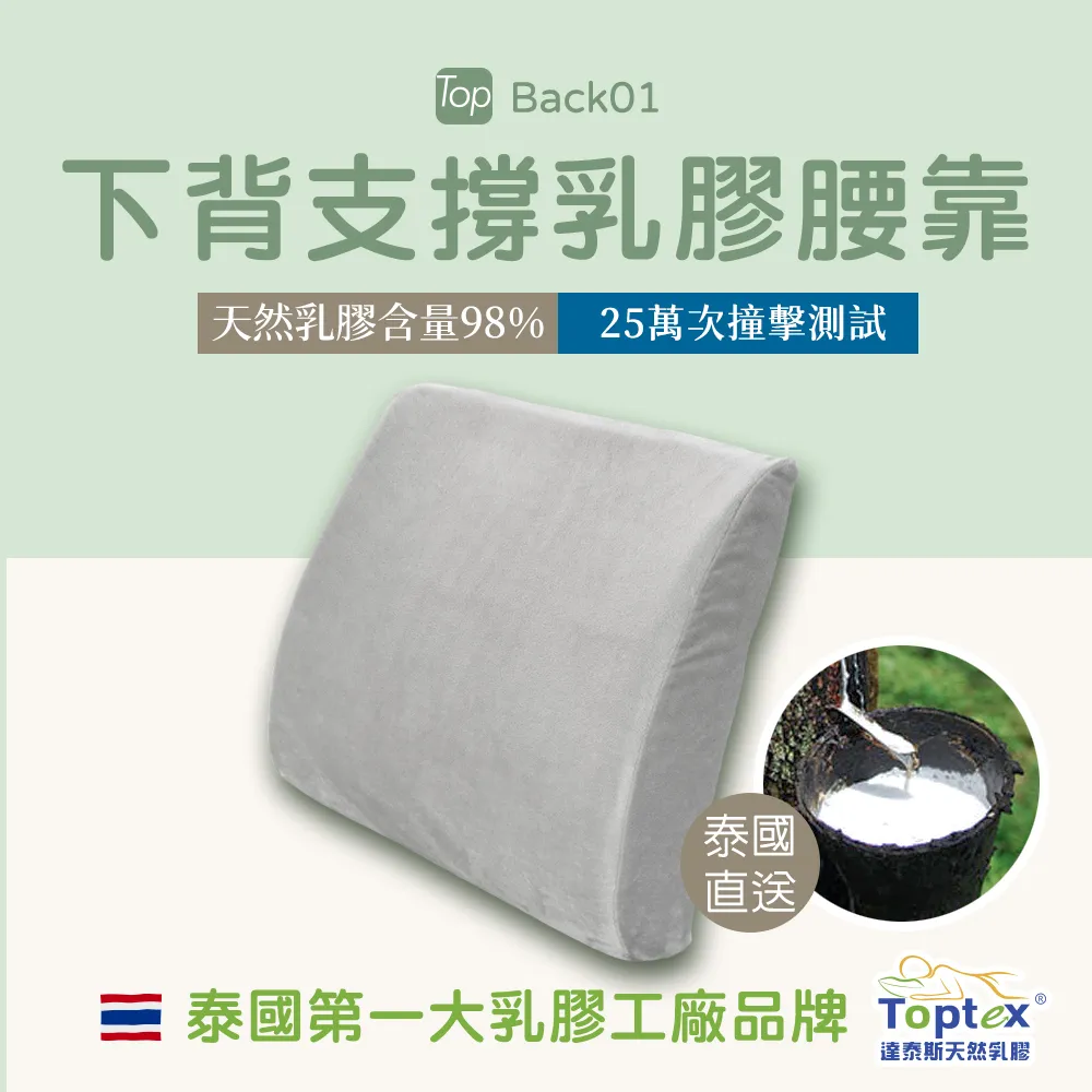Toptex BACK01下背支撐乳膠腰靠 歷史價格詳細信息