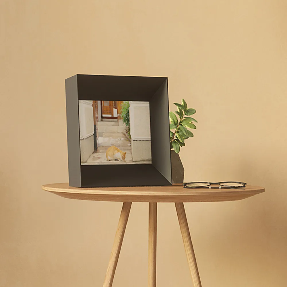 umbra木樁造型多組掛鈎衣帽掛鈎歐式牆壁掛鈎臥室裝飾門後掛衣架 歷史價格詳細信息