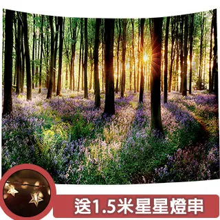 半島良品 贈星星燈-佈置裝飾掛布掛毯牆面布背景布-粉色仙人掌 歷史價格詳細信息