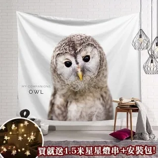 贈星星燈-北歐風裝飾掛布 -梵谷/星空 歷史價格詳細信息