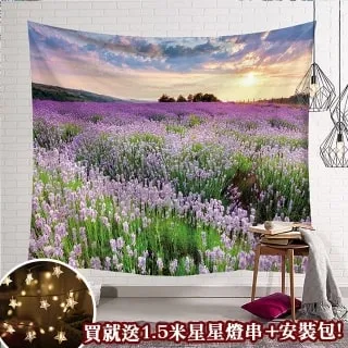 贈星星燈-北歐風裝飾掛布 -梵谷/星空 歷史價格詳細信息