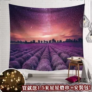 贈星星燈-北歐風裝飾掛布 -梵谷/星空 歷史價格詳細信息