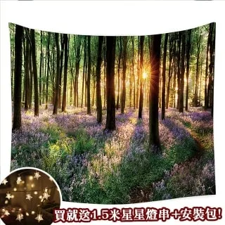 贈星星燈-北歐風裝飾掛布 -梵谷/星空 歷史價格詳細信息