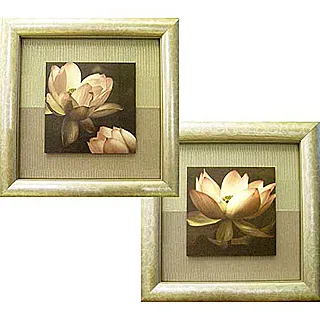 柔美花卉系列之【鳶尾花Irises】 歷史價格詳細信息