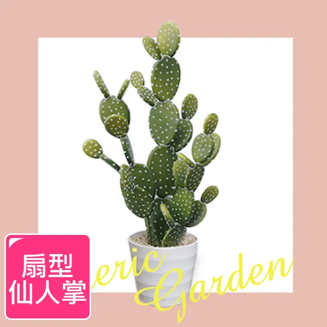 【Meric Garden】北歐風格居家裝飾高仿真大型景觀植栽擺設盆栽（扇型仙人掌） 歷史價格詳細信息