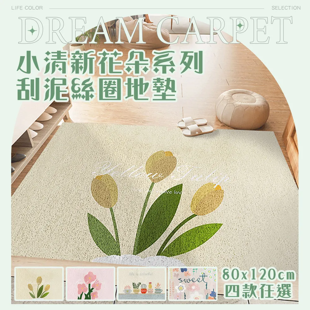 半島良品 可剪裁絲圈刮泥地墊-加大80x120cm(替代塑膠地墊/陽台/玄關用) 歷史價格詳細信息