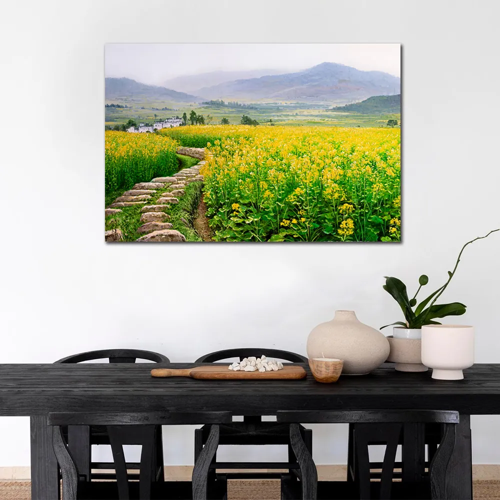 油麻菜籽DVD 數位修復版 臺灣新電影代表作之一 陳秋燕 柯一正 蘇明明 台灣正版全新 歷史價格詳細信息