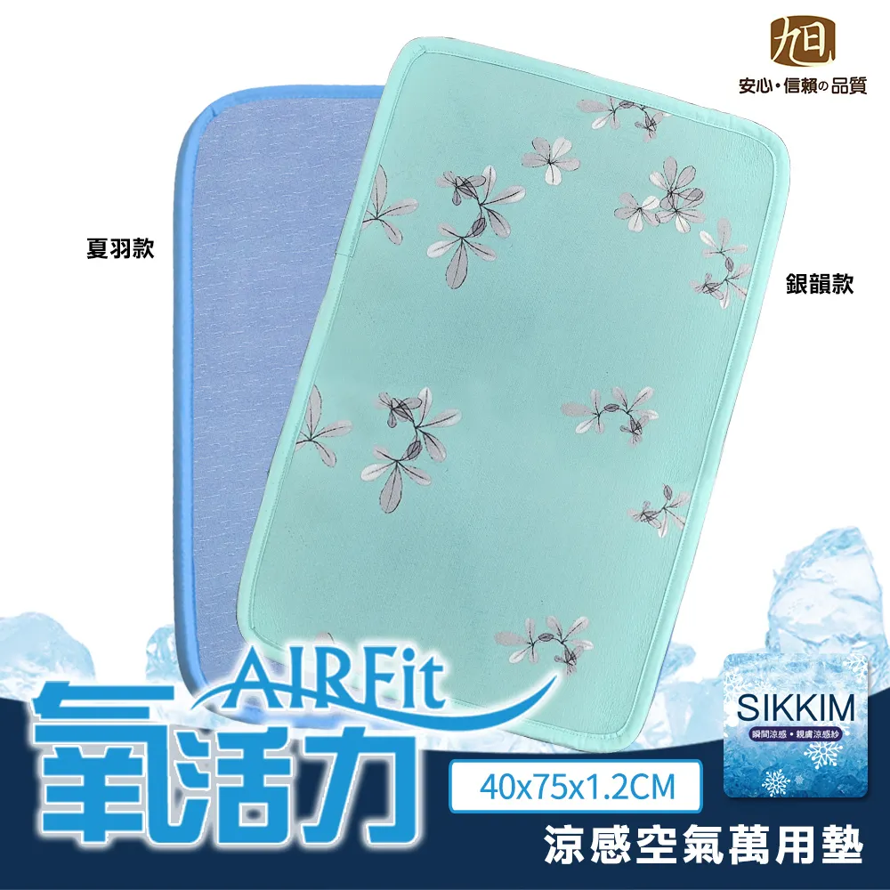 【日本旭川】AIRFit超涼感生命磁石墨烯萬用45x45椅墊 超值4入(透氣循環 遠紅外線 楊烈推薦) 歷史價格詳細信息