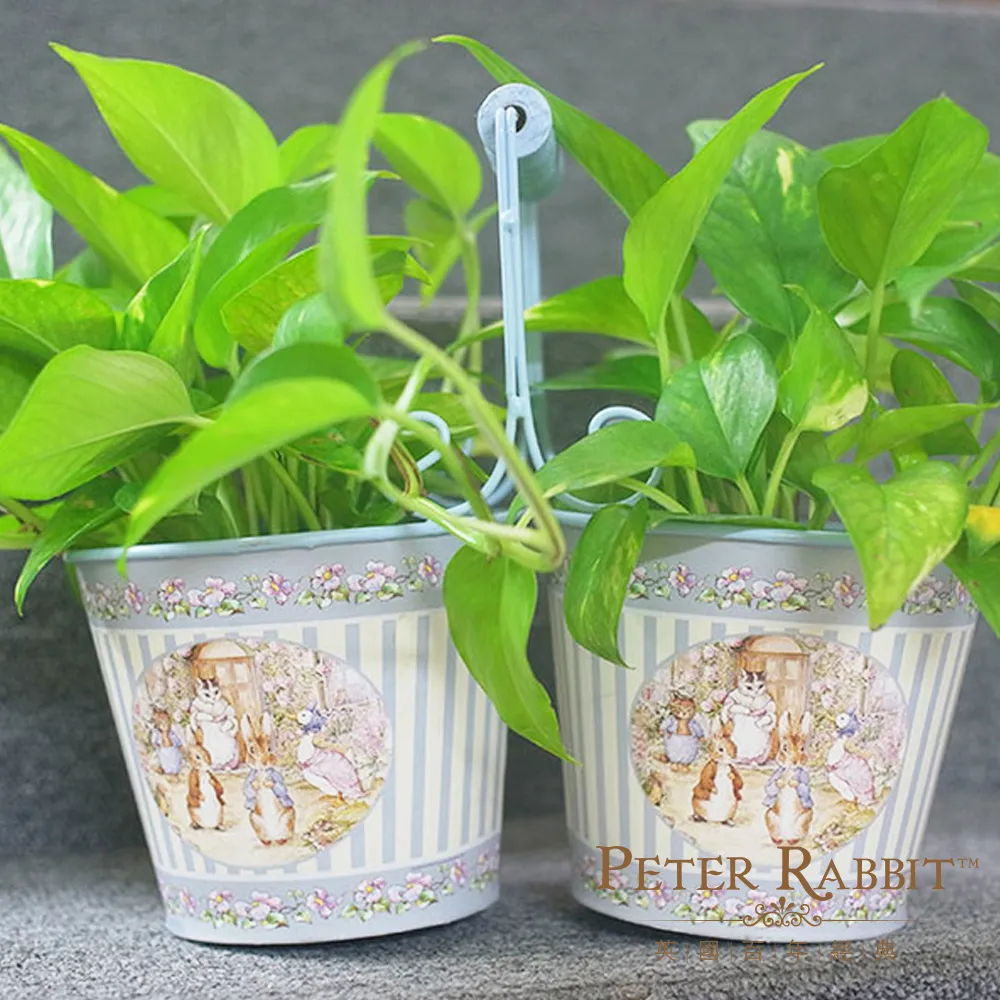 【英國比得兔】比得兔南瓜壁鐘 歷史價格詳細信息