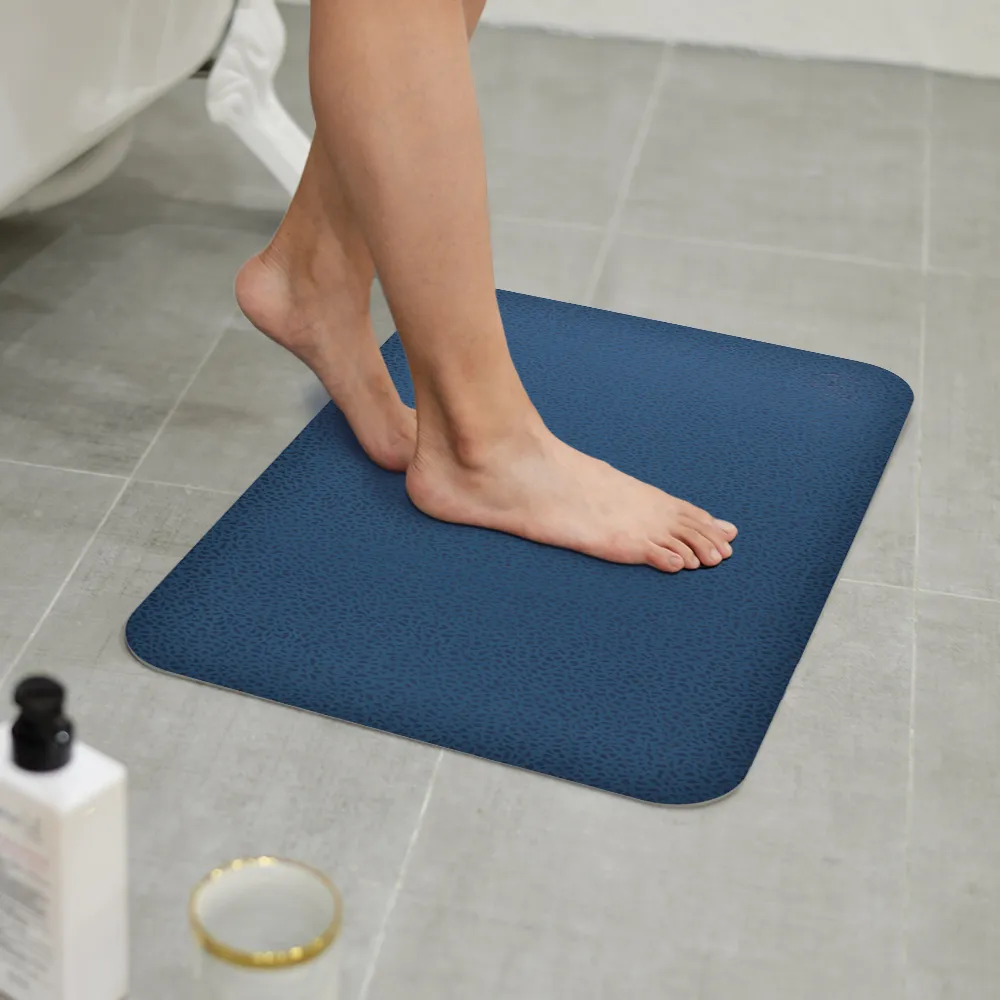 珪藻土20x30 吸水杯盤 【TROMSO】/台灣現貨  吸水墊 浴室吸水 珪藻土 花磚 廚房吸水【H0332059】 歷史價格詳細信息