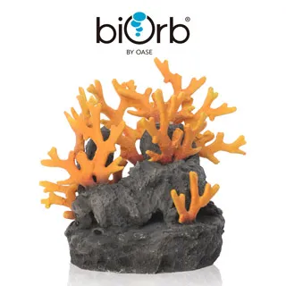 OASE biOrb 火珊瑚造型中柱 歷史價格詳細信息