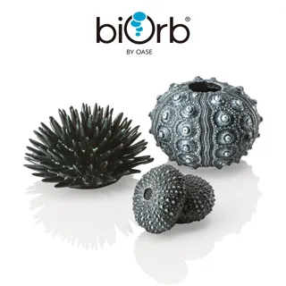 OASE biOrb 仿真海葡萄與海藻(深綠) 歷史價格詳細信息