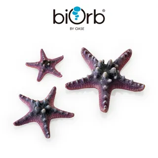 OASE biOrb 仿真海星3入組(黃色) 歷史價格詳細信息