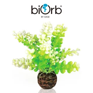 OASE biOrb 仿真綠色草苗 (中) 歷史價格詳細信息