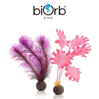 OASE biOrb 粉色仿真海草組(小) 歷史價格詳細信息