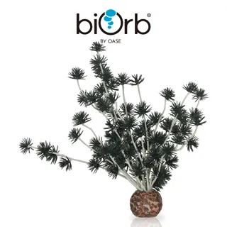 OASE biOrb 黑色珊瑚造型中柱 歷史價格詳細信息