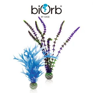 OASE biOrb 藍珊瑚造型中柱 歷史價格詳細信息