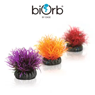 OASE biOrb 三合一維護組(濾材、清潔布、水質穩定劑、硝化菌) 歷史價格詳細信息