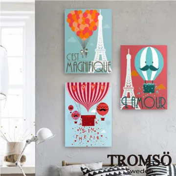 TROMSO時尚無框畫/巴黎熱氣球 歷史價格詳細信息