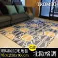 TROMSO珊瑚絨短毛地毯-中尺寸M北歐風潮200x140cm 歷史價格詳細信息